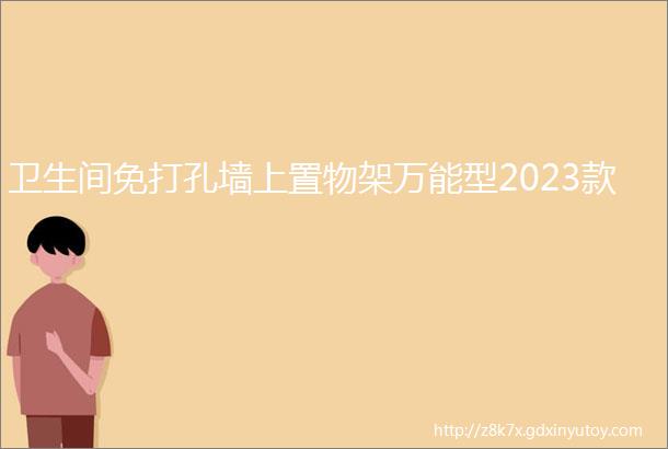 卫生间免打孔墙上置物架万能型2023款